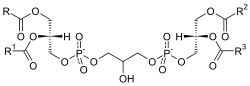 Diphosphatidyl-Glycerol.svg