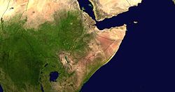 Satellitenaufnahme des Horns von Afrika mit dem Bab al-Mandab