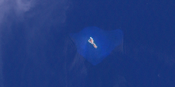 Landsat-Satellitenbild von Fatutaka