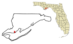Franklin County Florida Incorporated and Unincorporated areas Apalachicola Highlighted.svg