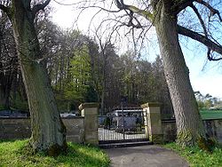 Friedhofslinden bei Theinfeld, 1.jpg