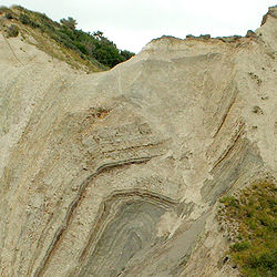 Moler-Formation in einem Steilküstenabschnitt auf Fur