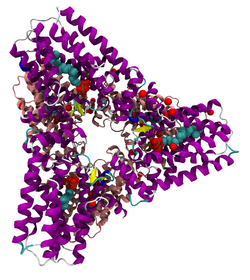 GGPP-Synthase