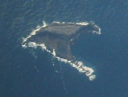 Gannet Island aus der Luft gesehen