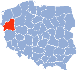 Politische Karte Polens, Woiwodschaft Gorzów rot hervorgehoben