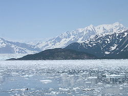 Haenke Island in der Disenchantment Bay, links im Hintergrund der Hubbard-Gletscher