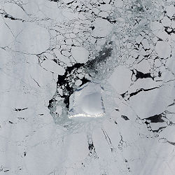 NASA-Bild der Henrietta-Insel, umgeben von Packeis