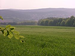 Wald und Wiesenlandschaften prägen den Westpfalz-Wanderweg