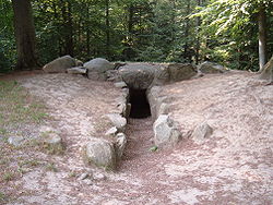 Ganggrab Hulehøj im Østerskov auf Bogø