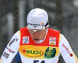 Ida Ingemarsdotter, Tour de Ski 2010, Oberhof