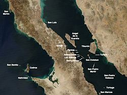 Satelliten-Karte mit den Inseln im Norden des Golfs von KalifornienSan Marcos ist die südlichste Insel unten