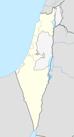 Allon Schewut (Israel)