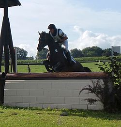 Kai-Steffen Meier mit Lacorna beim CIC 2* Schenefeld 2010