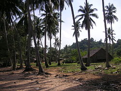 Areal mit Palmen und Hütten auf Koh Tonsay