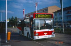 Konstanz-MAN-NM152-Bus51.jpg