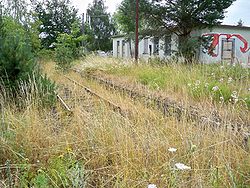 Ehemaliger Bahnhof Kricheldorf/Krinau (2010)