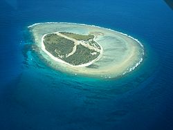 Luftbild der Lady-Elliot-Insel