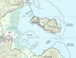 Topographische Karte der Insel Lelu und des benachbarten Gebietes der Insel Kosrae