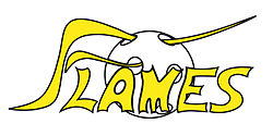 LogoFlames.jpg