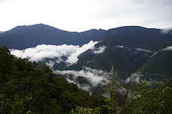 Yungas in Bolivien