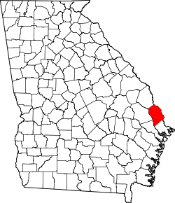 Karte von Effingham County innerhalb von Georgia