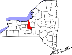 Karte von Cayuga County innerhalb von New York
