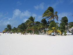 Strand auf der Isla Mujeres