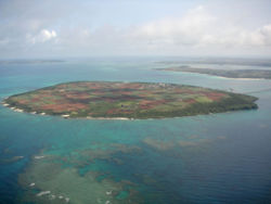 Kurima-jima