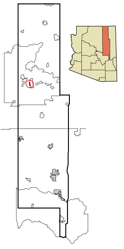 Navajo County Incorporated and Unincorporated areas Shongopovi highlighted.svg