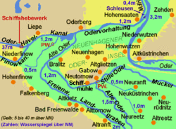 Die Neuenhagener Insel („Neuenhagener Oderinsel“) im nördlichen Oderbruch (ca. 1940).