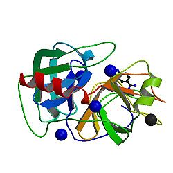 Kallikrein-related peptidase 4