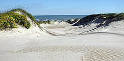 Sanddünen in der Padre Island National Seashore