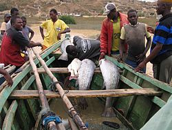 Fischer bei Cabo Ledo, rund 100 km südlich von Luanda