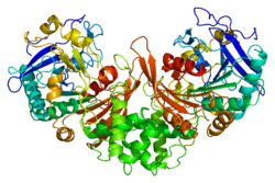 Lysosomales Schutzprotein
