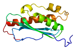 Eisen-Schwefel-Cluster-Gerüstprotein