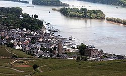 Der Rhein bei Rüdesheim mit der Rüdesheimer Aue in der Bildmitte. Am oberen Bildrand die Ilmenaue und dazwischen das Hauptfahrwasser