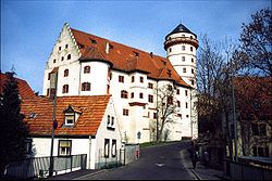 Schloss Grumbach vom Mühlwiesenweg (Süden) aus gesehen