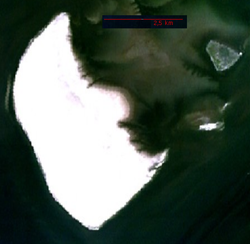 NASA-Satellitenbild, mit Hallig Süderoog rechts oben