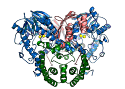 Alkylsulfatase 1