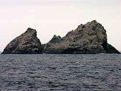 Die Shag Rocks im Januar 2006