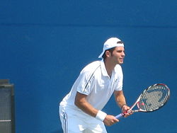 Simone Bolelli, 2008