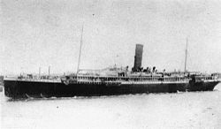 StateLibQld 1 169295 Orontes (ship).jpg