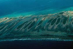 Eine Reihe kleiner Motu auf dem Atoll Tikehau. Im Hintergrund die innere Lagune