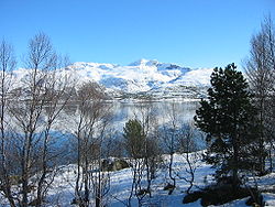 Blick über den Tjeldsund nach Tjeldøya