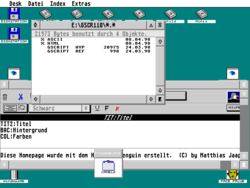 Screenshot von TOS 4.92, der letzten, nicht mehr zur Serienreife gebrachten TOS-Version.