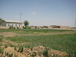 Felder in der Provinz Xorazm