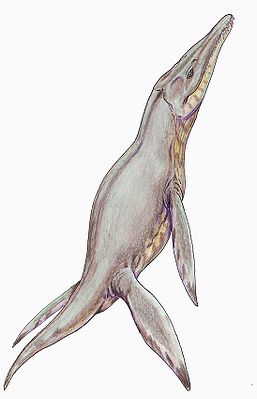 Pliosaurus in einer Lebendrekonstruktion