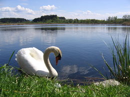 Der Kreuzweiher