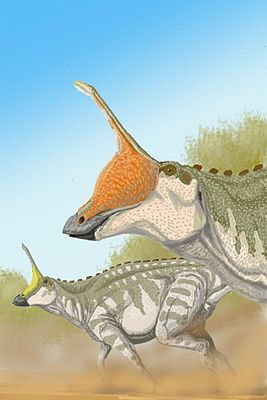 Lebendrekonstruktion von Tsintaosaurus