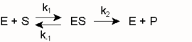 Enzymkinetik: k2 = kcat
